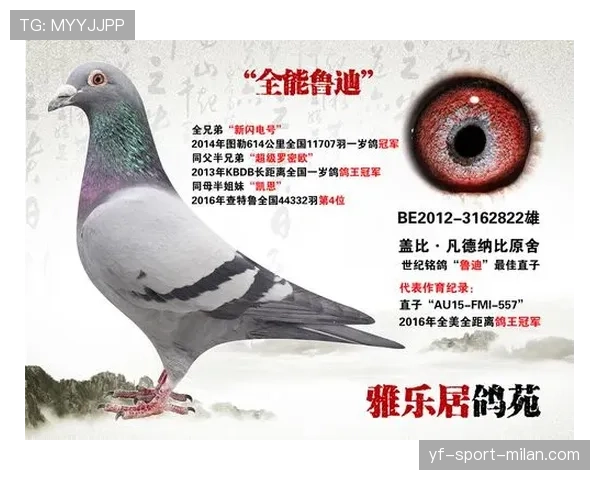 凯恩的关键战表现与荣誉结构解析